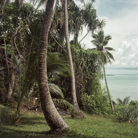 Un jardin en pente avec vue sur le lagon. Terre a la vegetation luxuriante, Wallis a une superficie de 75 kilometres carres. Photographie par Samuel HENSE / Hans Lucas.